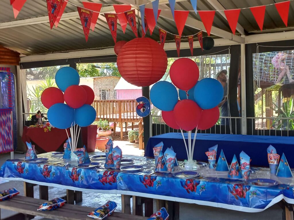 Kiddies and adult birthday party venue, decor and equipment hire